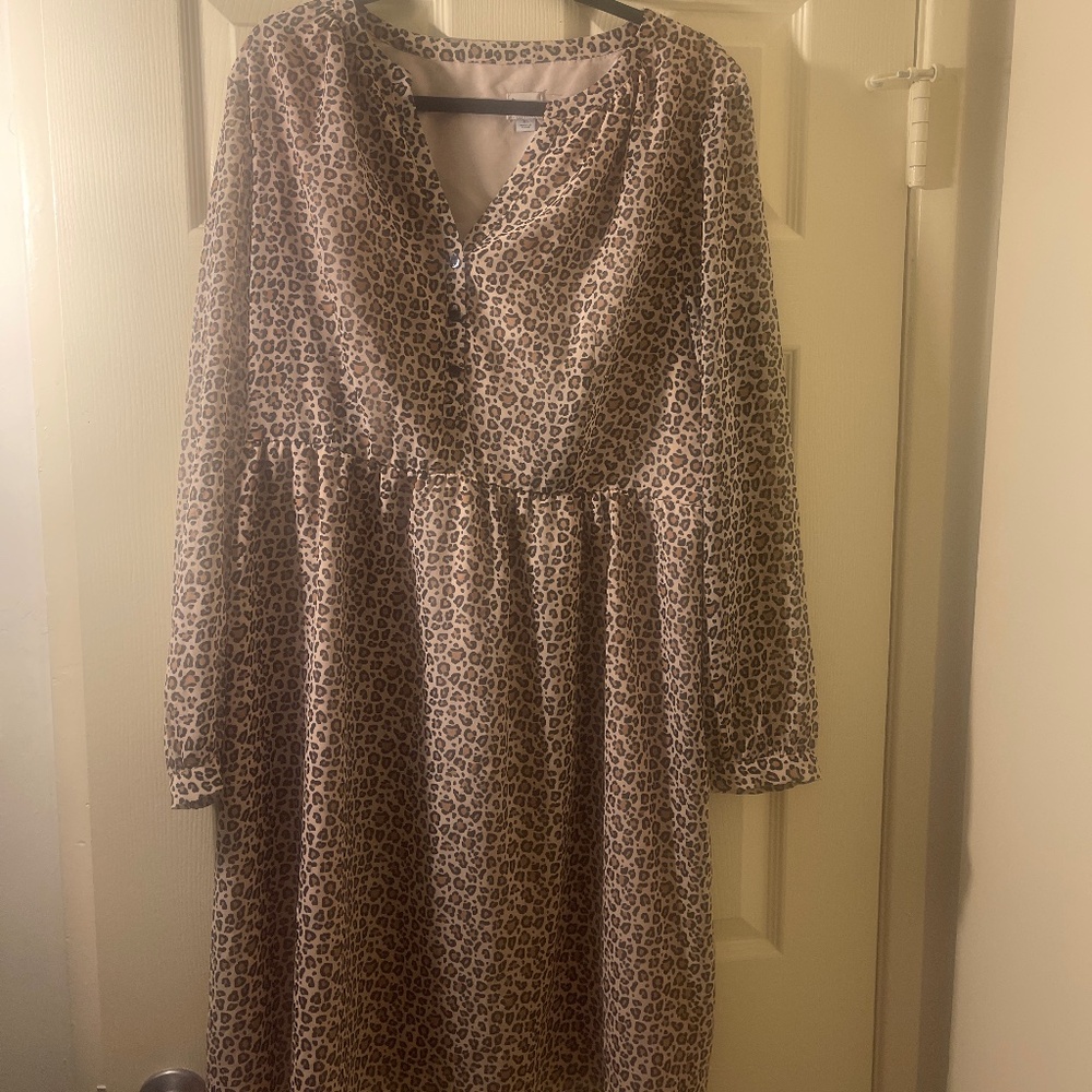Sheer Sleeved Cheetah Dress
